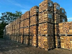 Holzarten: Eiche, Buche, Esche. Zustand: Hartes und gut getrocknetes Holz, harzfrei.