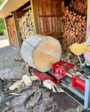 Holzarten: Eiche, Buche, Esche Zustand: Gut getrocknetes und hartes Holz, kein Weichholz, kein harzi