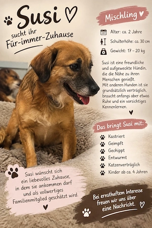 susi sucht ihr mensch 