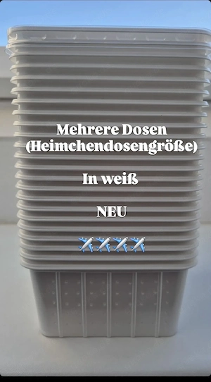 Macht mir ein Angebot: Komplett Abgabe: Terrarien usw - Kronengecko C. ciliatus Bild 4