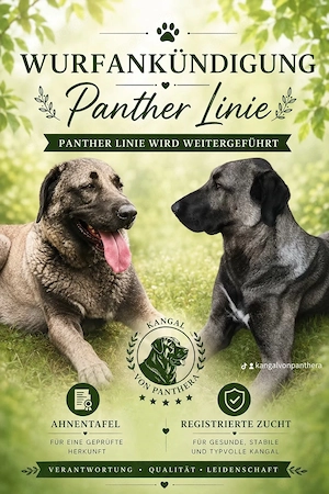 Wurf Ankündigung.