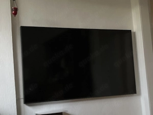 Samsung the Frame 65 Zoll Panel defekt