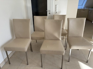 6 Esszimmerstühle aus Leder
