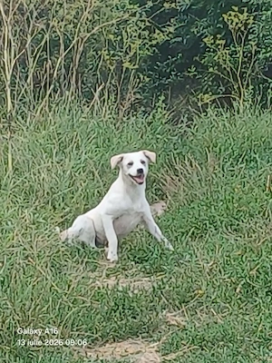Albita   kleines Energiebündel sucht ihr Für-immer-Zuhause   