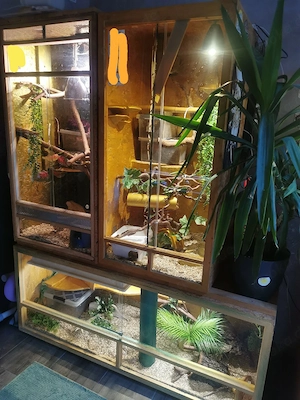 4 Holz Terrarium 150 x 60 x 60