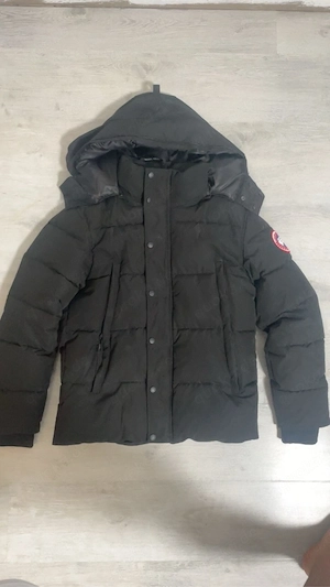 canada goose 