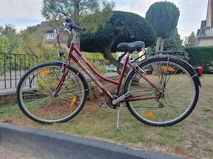 Wheeler Cycle n Style komfort 1700