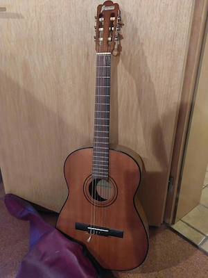 Gitarre mit Hülle