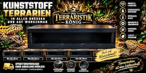 Schwarze Kunststoff Terrarium Terrarien vom Fachmann Terrarien Anlage Wand