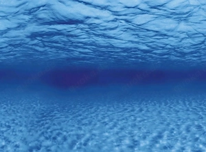Aquarien Rückwand Folie 300x80 cm