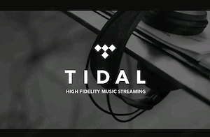 Tidal Hifi Plus