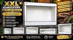 -20% auf XXL Terrarien dein Wunsch Terrarium in allen Größen auf Wunschmaß 200x100x200