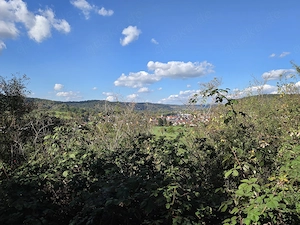 Naturgrundstück 2.853 m  mit Weitblick & alten Obstbäumen