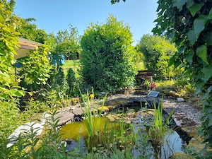 Gewachsener Garten 1.023 m  mit Teich & Hütten   Haubersbronn