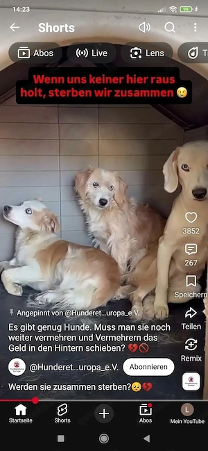 Wir sind schon da !