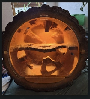Design Terrarien sehen aus wie Natur
