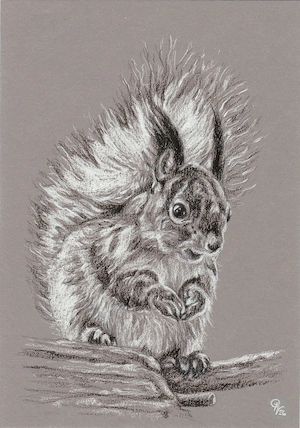 Handgezeichnete Tiere   Tierportraits in s w nach Foto