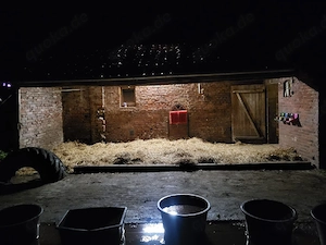 Kostenlose Aufnahme von Pferden und Ponys gesucht?   
