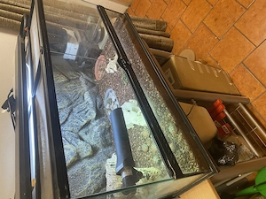 Terrarium mit 11 Griechische Landschildkröten mit Eu-Cites Bescheinigungen