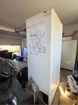 wildkühlschrank defekt 