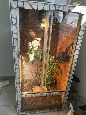 Terrarium standart größe 