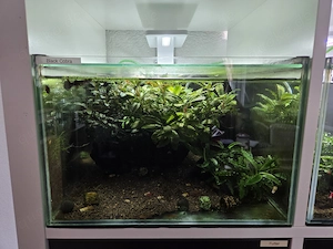 Aquarien abzugeben ca 25. Liter