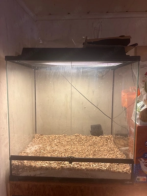terrarium 