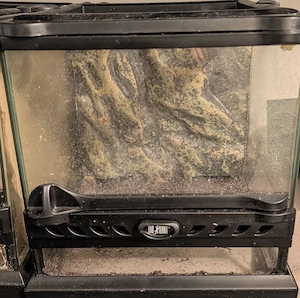 Terrarium Exo Terra Natural 20x20x20 Mehrere vorhanden