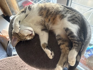 Kleine Talea wartet auf ihr neues zuhause :)