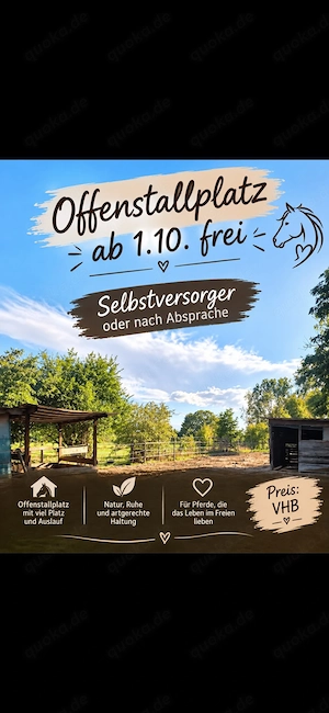 Offenstallplatz 