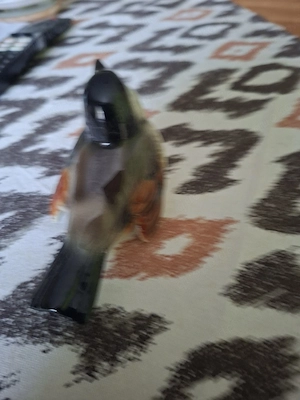 Goebel Spatz