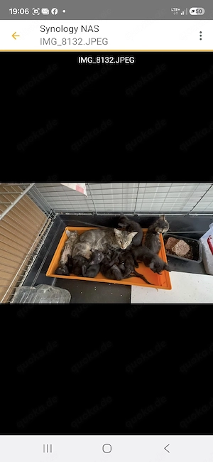 Luna sucht ein liebevolles Zuhause