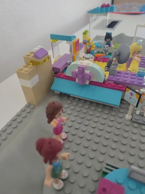 Lego Friends Tierarzt Praxis für Haustiere