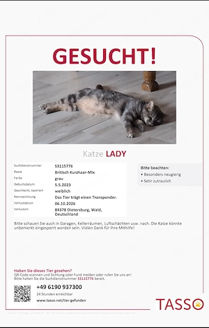 Vermisst: Katze Lady