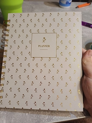 S strene Grene Planer   Kalender   Notizbuch   Gold & Creme   NAGELNEU