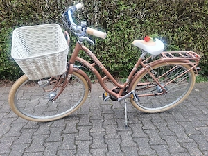 Schönes Pegasus Tourina Fahrrad zu verkaufen
