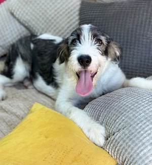 Vicky - freche Lady sucht dich!
