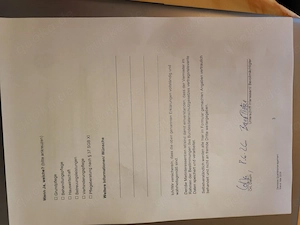 Rotflügelsittiche