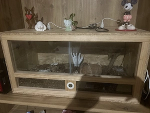 Terrarium zu verkaufen 