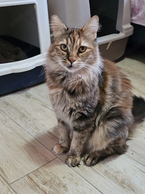 Wunderschöne Masha sucht ihren Platz für immer