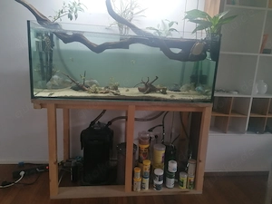 Aguarium Poolbecken