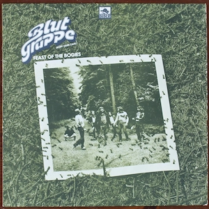 Blutgruppe - Feast Of The Bogies, Vinyl LP, 1980, Biber Records