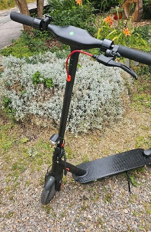 E Roller Scooter  10Zoll Straßenzulassung