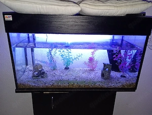 Aquarium komplett 