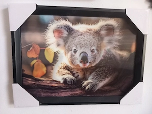 Bilder in 3 D