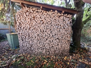 Brennholz Buche