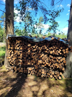 Brennholz zu verkaufen