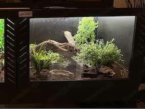 PVC Terrarium von IM Cages, schwarz