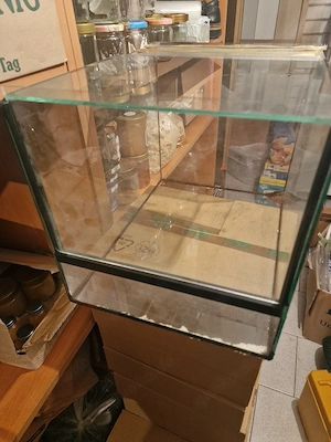 Glass Terrarien  KEIN Versand 