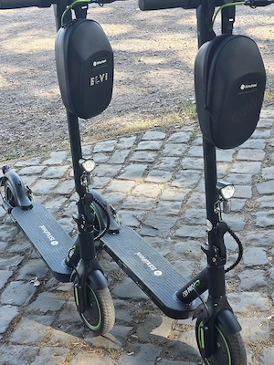 E.Roller 3 wochen Alt